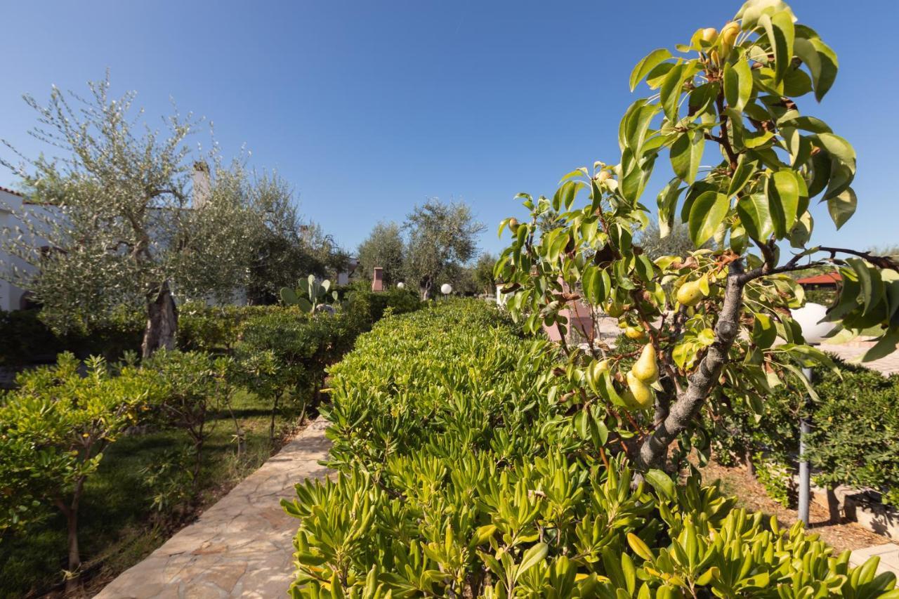 Residence Villantica Βιέστε Εξωτερικό φωτογραφία